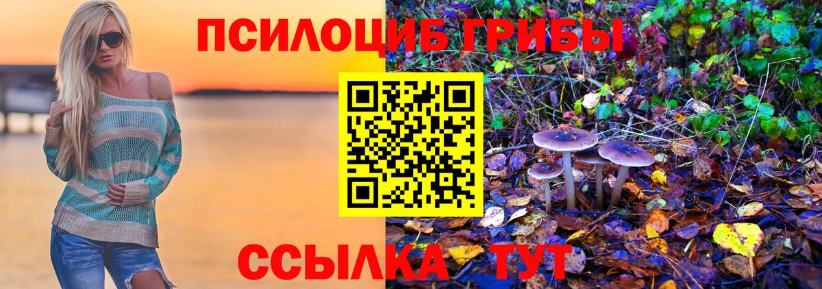 Галлюциногенные грибы GOLDEN TEACHER  Вход с VPN  Видное 